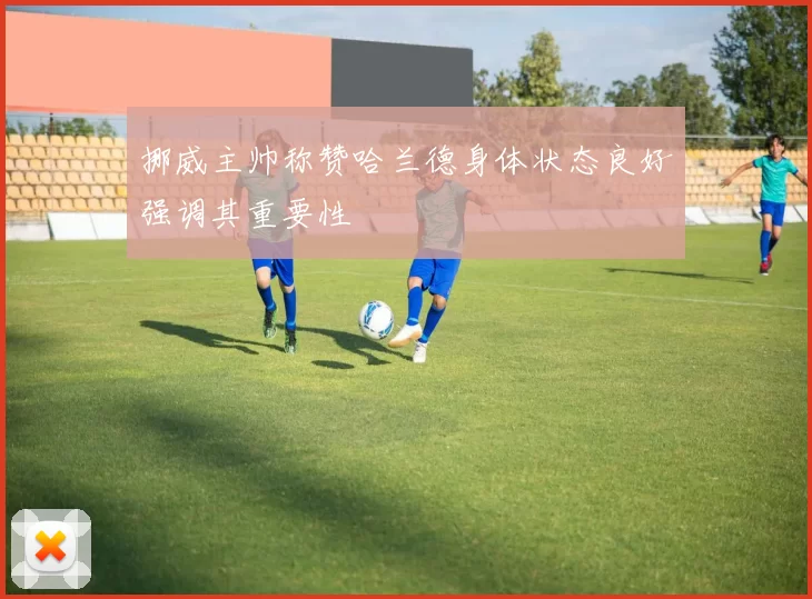 挪威主帅称赞哈兰德身体状态良好强调其重要性