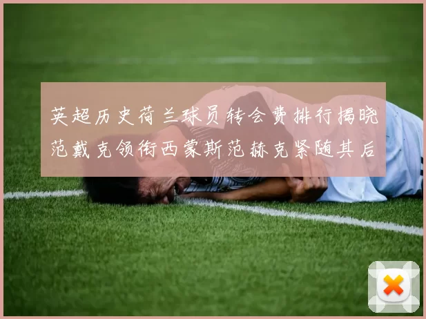 英超历史荷兰球员转会费排行揭晓范戴克领衔西蒙斯范赫克紧随其后