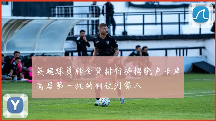 英超球员转会费排行榜揭晓卢卡库高居第一托纳利位列第八